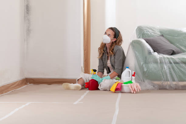 Reliable Mold Inspection contractor in Maywood, NJ by WQB Mold Removal
